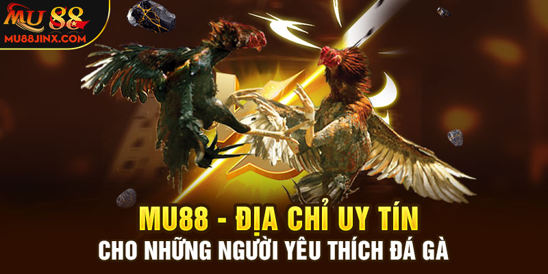 Mu88 - Địa chỉ uy tín cho những người yêu thích đá gà