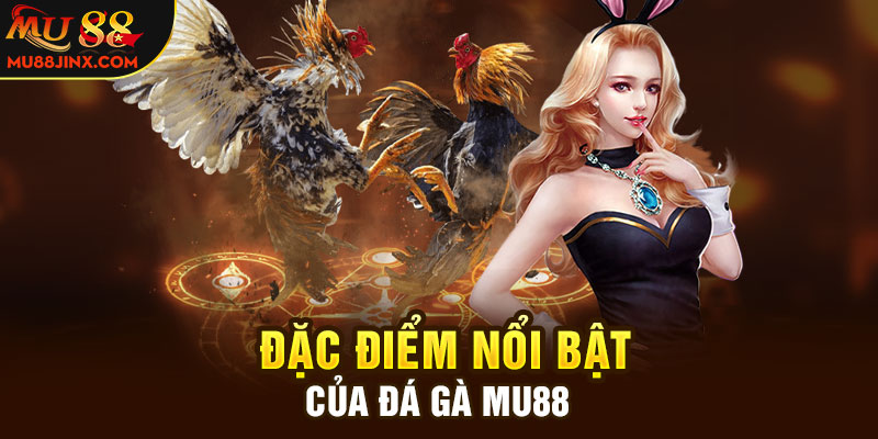 Đặc điểm nổi bật của đá gà mu88