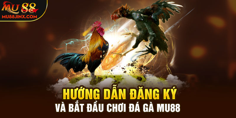 Hướng dẫn đăng ký và bắt đầu chơi đá gà mu88