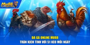 Đá Gà Online MU88 - Trận Kịch Tính Với 51 Kèo Mỗi Ngày