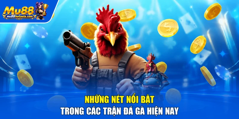 Những nét nổi bật trong các trận đá gà hiện nay